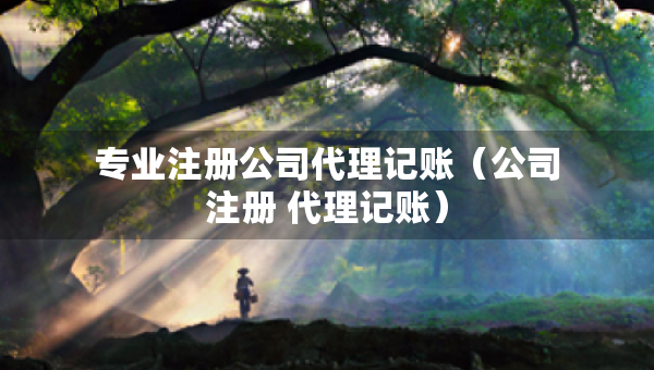專業(yè)注冊公司代理記賬（公司注冊 代理記賬）