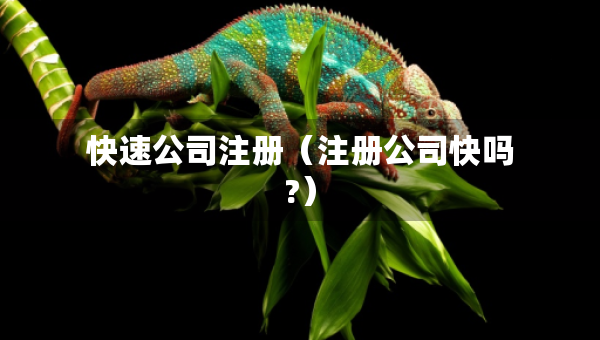 快速公司注冊(cè)（注冊(cè)公司快嗎?）