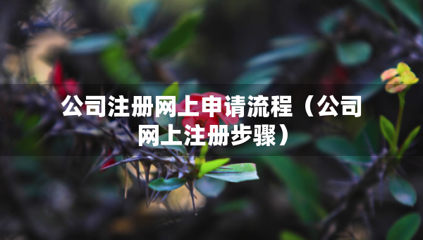 公司注冊網(wǎng)上申請流程（公司網(wǎng)上注冊步驟）