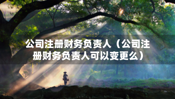 公司注冊(cè)財(cái)務(wù)負(fù)責(zé)人（公司注冊(cè)財(cái)務(wù)負(fù)責(zé)人可以變更么）