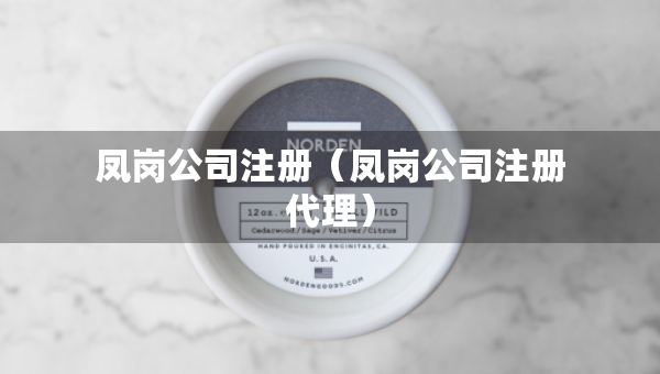 鳳崗公司注冊(cè)（鳳崗公司注冊(cè)代理）
