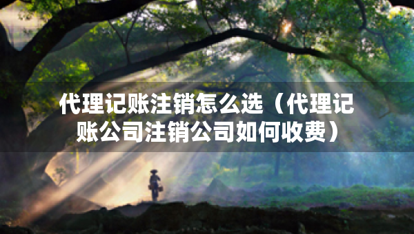 代理記賬注銷怎么選（代理記賬公司注銷公司如何收費）