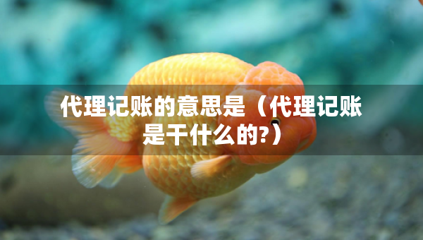 代理記賬的意思是（代理記賬是干什么的?）