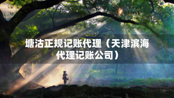 塘沽正規(guī)記賬代理（天津濱海代理記賬公司）