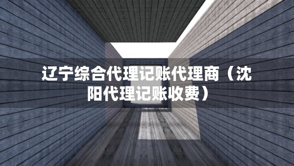 遼寧綜合代理記賬代理商（沈陽代理記賬收費）