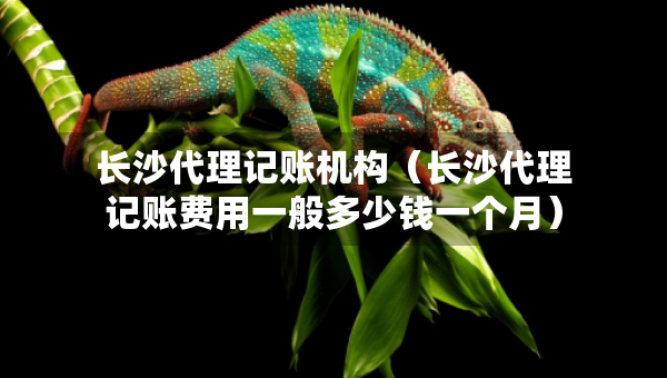 長(zhǎng)沙代理記賬機(jī)構(gòu)（長(zhǎng)沙代理記賬費(fèi)用一般多少錢(qián)一個(gè)月）