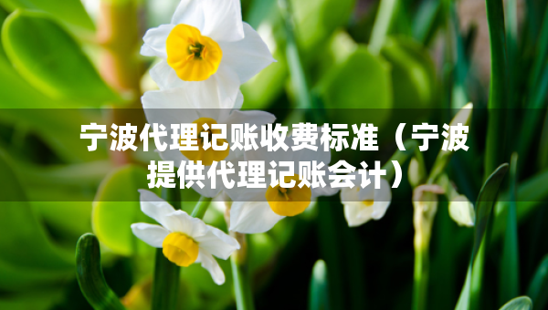 寧波代理記賬收費標準（寧波提供代理記賬會計）