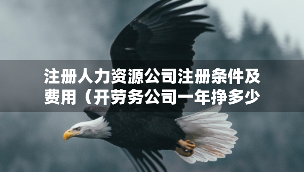 注冊人力資源公司注冊條件及費(fèi)用（開勞務(wù)公司一年掙多少）