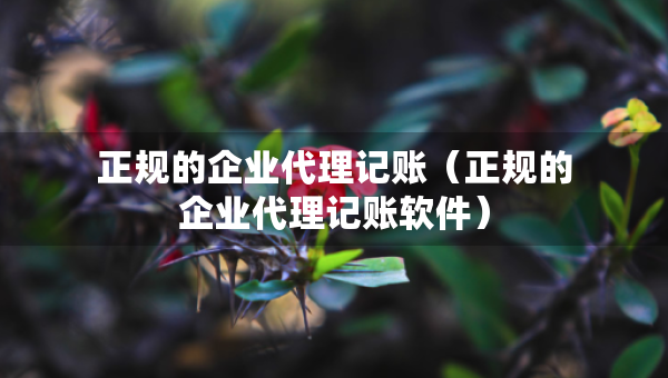 正規(guī)的企業(yè)代理記賬（正規(guī)的企業(yè)代理記賬軟件）
