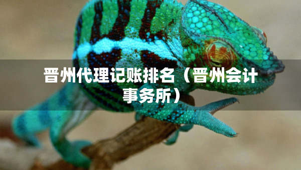 晉州代理記賬排名（晉州會計事務所）