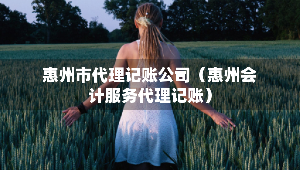 惠州市代理記賬公司（惠州會(huì)計(jì)服務(wù)代理記賬）