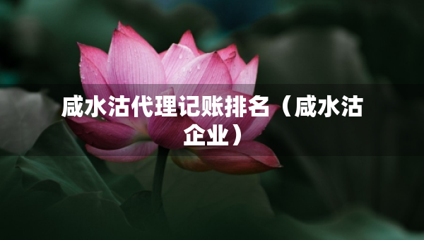 咸水沽代理記賬排名（咸水沽企業(yè)）