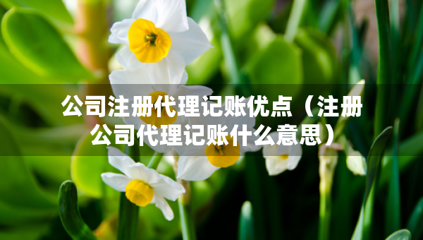 公司注冊代理記賬優(yōu)點（注冊公司代理記賬什么意思）