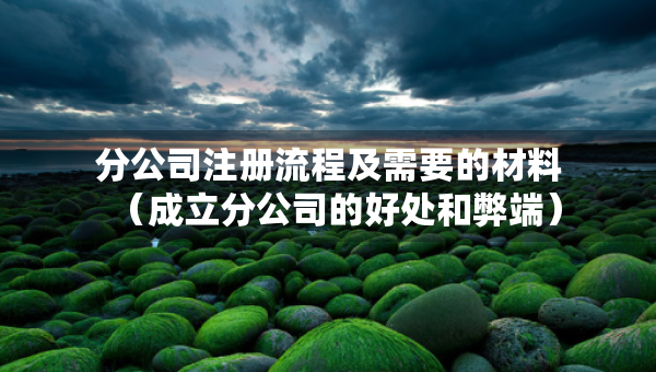 分公司注冊(cè)流程及需要的材料（成立分公司的好處和弊端）