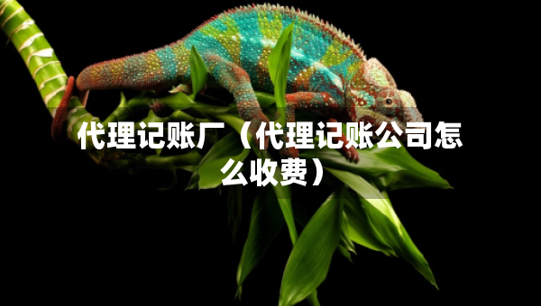 代理記賬廠（代理記賬公司怎么收費）