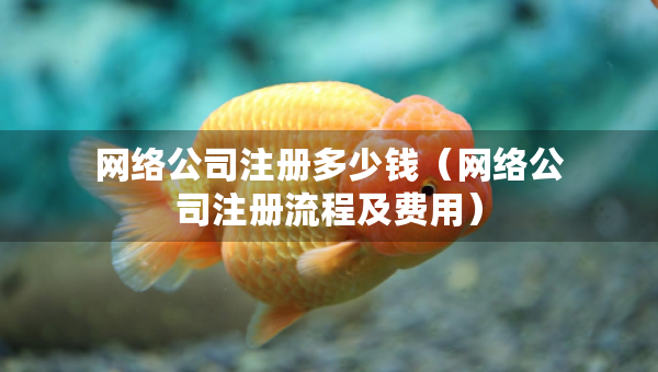 網(wǎng)絡(luò)公司注冊(cè)多少錢（網(wǎng)絡(luò)公司注冊(cè)流程及費(fèi)用）