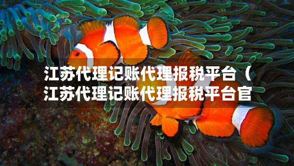 江蘇代理記賬代理報稅平臺（江蘇代理記賬代理報稅平臺官網(wǎng)）
