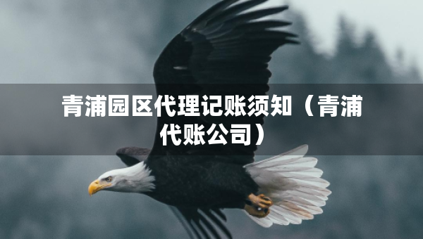青浦園區(qū)代理記賬須知（青浦代賬公司）