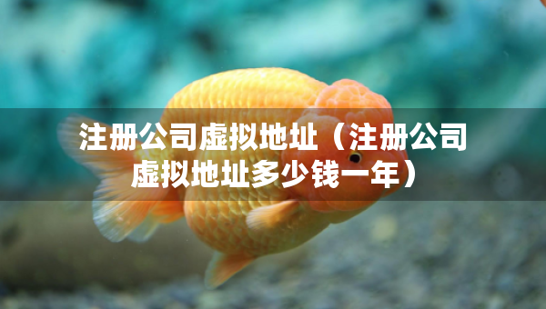 注冊(cè)公司虛擬地址（注冊(cè)公司虛擬地址多少錢一年）