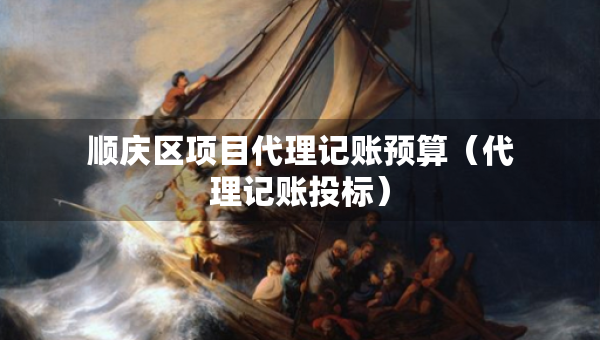 順慶區(qū)項(xiàng)目代理記賬預(yù)算（代理記賬投標(biāo)）