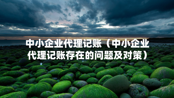 中小企業(yè)代理記賬（中小企業(yè)代理記賬存在的問(wèn)題及對(duì)策）