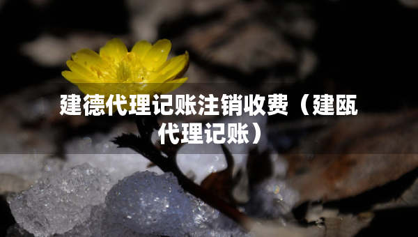 建德代理記賬注銷收費(fèi)（建甌代理記賬）