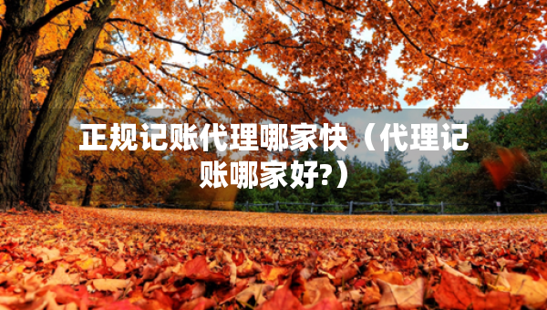 正規(guī)記賬代理哪家快（代理記賬哪家好?）