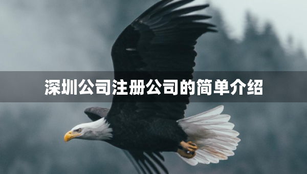 深圳公司注冊公司的簡單介紹
