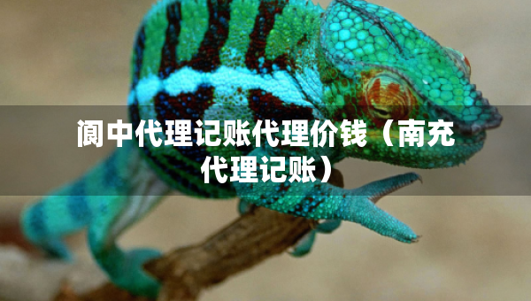 閬中代理記賬代理價(jià)錢（南充代理記賬）