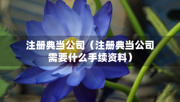 注冊(cè)典當(dāng)公司（注冊(cè)典當(dāng)公司需要什么手續(xù)資料）
