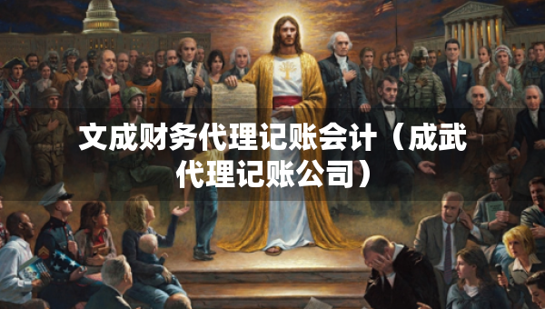 文成財務(wù)代理記賬會計（成武代理記賬公司）