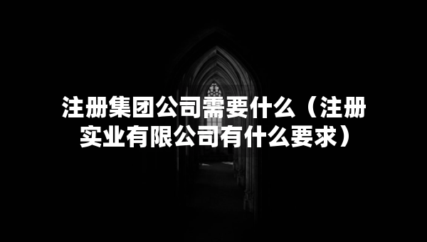注冊集團(tuán)公司需要什么（注冊實(shí)業(yè)有限公司有什么要求）