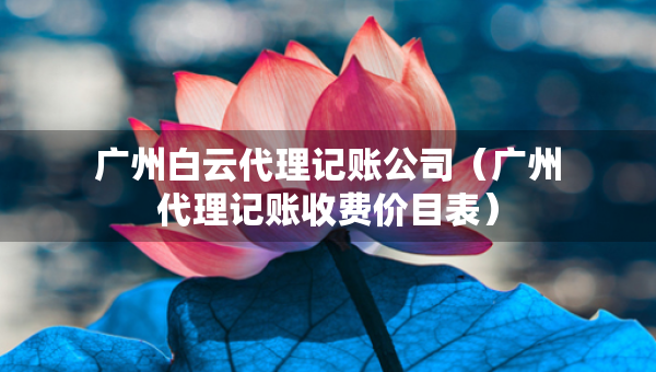 廣州白云代理記賬公司（廣州代理記賬收費價目表）