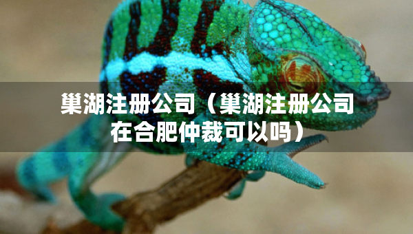 巢湖注冊(cè)公司（巢湖注冊(cè)公司在合肥仲裁可以嗎）
