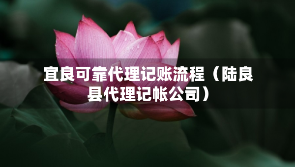 宜良可靠代理記賬流程（陸良縣代理記帳公司）