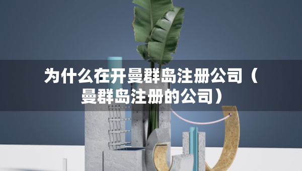 為什么在開(kāi)曼群島注冊(cè)公司（曼群島注冊(cè)的公司）