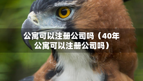 公寓可以注冊(cè)公司嗎（40年公寓可以注冊(cè)公司嗎）
