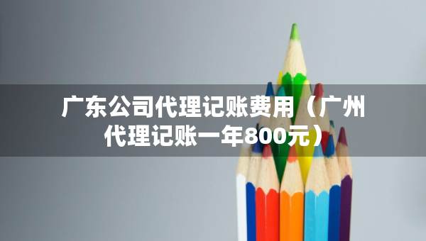 廣東公司代理記賬費用（廣州代理記賬一年800元）