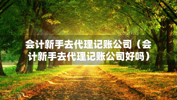 會計(jì)新手去代理記賬公司（會計(jì)新手去代理記賬公司好嗎）