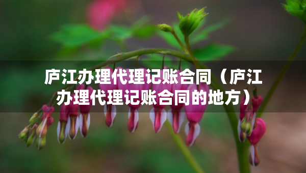 廬江辦理代理記賬合同（廬江辦理代理記賬合同的地方）