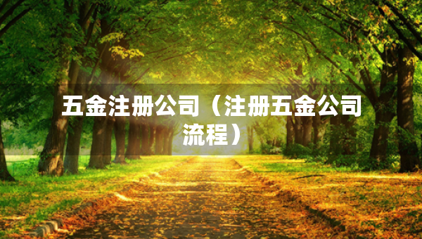 五金注冊公司（注冊五金公司流程）