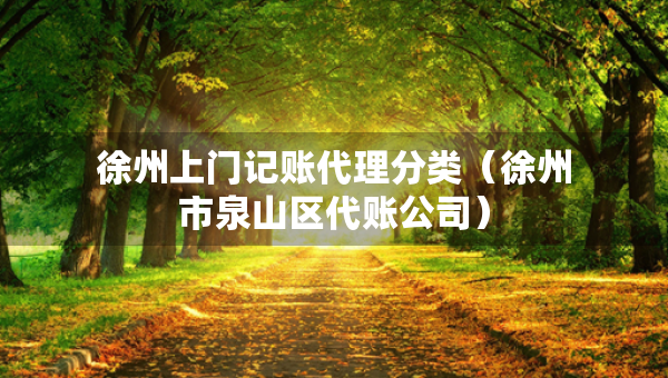 徐州上門記賬代理分類（徐州市泉山區(qū)代賬公司）