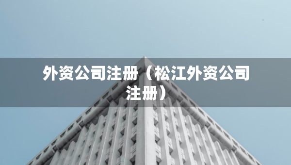 外資公司注冊（松江外資公司注冊）