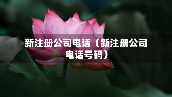 新注冊(cè)公司電話（新注冊(cè)公司電話號(hào)碼）