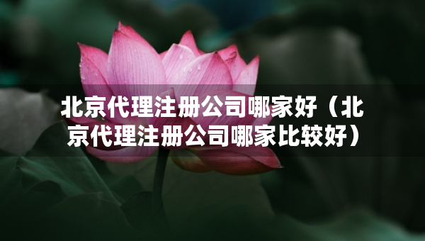 北京代理注冊(cè)公司哪家好（北京代理注冊(cè)公司哪家比較好）