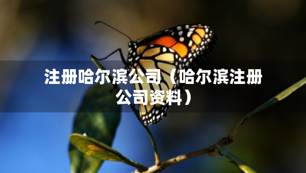 注冊(cè)哈爾濱公司（哈爾濱注冊(cè)公司資料）