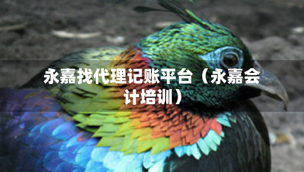 永嘉找代理記賬平臺（永嘉會計培訓）