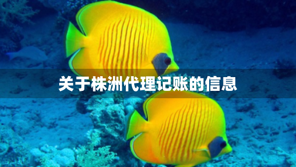 關(guān)于株洲代理記賬的信息