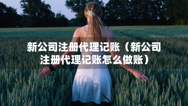 新公司注冊代理記賬（新公司注冊代理記賬怎么做賬）
