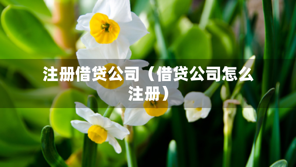 注冊借貸公司（借貸公司怎么注冊）